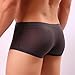 Men Transparent Underwear Boxer ,Vanvler Sexy Male Briefs Shorts Bulge Pouch Underpants (Deep Gray, L)