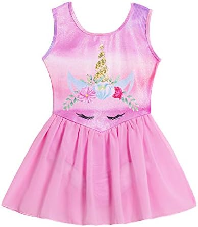 Nidoul Gymnastics Leotards Dress for Toddler/Girls Sparkly Unicorn Rainbow Skirted Dance Ballet Dress