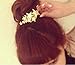 yueton Pack of 2 Star Pred Perry Leaves Alloy Hairpin Hair Clip - Hair Spring Clip - Women Bridal Hair Accessories Headwear