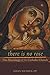 There Is No Rose: The Mariology of the Catholic Church