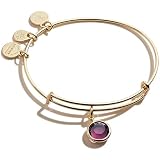 Expandable Wire Bangle Bracelet 