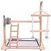 QBLEEV Bird Playground Birdcage Playstand Parrot Play Gym Parakeet Cage Decor Budgie Perch Stand with Feeder Seed Cups Ladder Hanging Swing Chew Toys Conure Macaw Cockatiel Finch Small Animalsthumb 3