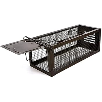 RatzFatz Mouse Trap Humane Live Animal Cage, Catch and Release Mice, Rats, Chipmunks, Squirrels, Hamsters and Other Rodents, Hook Design