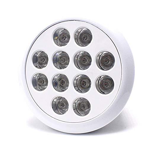 Mua Led アクアリウムライト 24w 青8 紫外線4 水槽照明 水草 サンゴ 熱帯魚 観賞魚 植物育成 Tren Amazon Nhật Chinh Hang 21 Fado