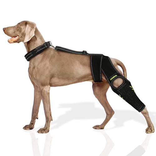 Dog Leg Acl Brace, Dog Knee Braces for Torn Acl Hind Leg, Dog