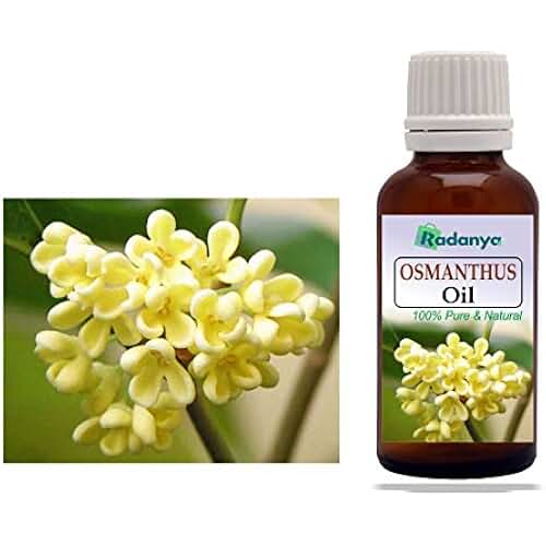 osmanthus essential oil