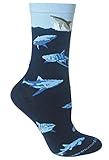Sharks Blue Large Cotton Socks