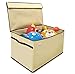 EasyGoProducts Giant Toy Box Folding Toy Trunk Organizer, Toy Chest Collapsible Storage Bin, Great for Nursery or Any Room with Toy Box Lid and Side Handles - 30