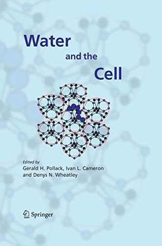 The Fourth Phase of Water: Beyond Solid, Liquid, and Vapor