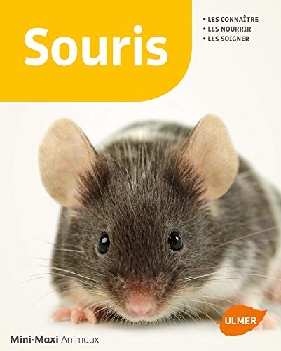 Souris by 