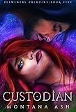 Custodian