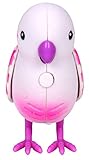Little Live Pets S2 Bird Single Pack, Swift Heart