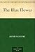 The Blue Flower by 