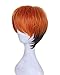 DAZCOS Unisex Fox Nick Wilde Short Wig Cosplay Costume 32CM (Orange)