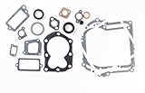 Briggs & Stratton 590777 Engine Gasket Set Replaces 794209, 699933, 298989