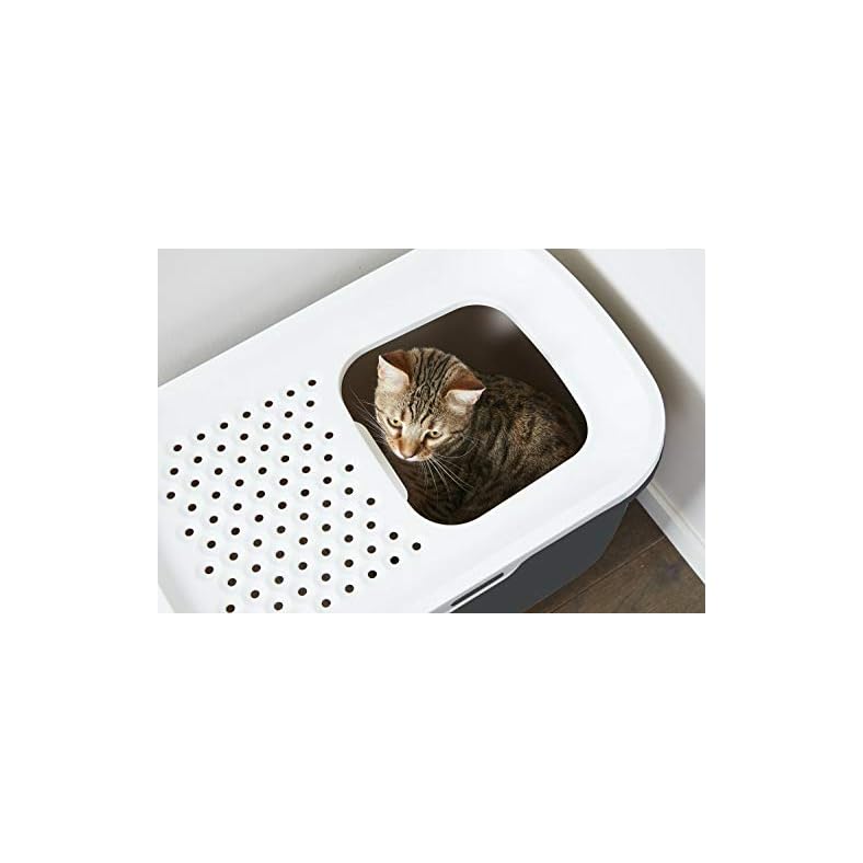 Katzentoilette Katzenklo HOP IN mit Einstieg von Oben grauWeiss + gratis Katzenspielzeug