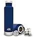 Cloud9 Plastic-Free Vacuum-Insulated Double-Wall Thermal Stainless Steel Tea Bottle with Tea/Fruit Strainer, 15 oz/450 ml (Dark Blue)