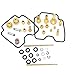 New Carburetor Repair Rebuild Kits Carb Kits Fits YAMAHA RAPTOR 660 YFM660R 2001-2005