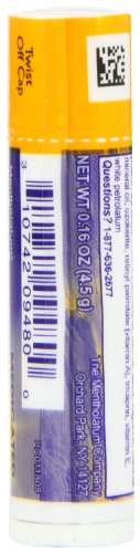 Natural Ice Sport, 0.16 ounce Tubes (Pack of 48)