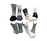 Petescilla Baby Boy Animal Fun Socks Non-Skid , M (2y-4y), Combo 8-pack