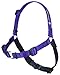 SENSE-ation No-Pull Dog Harness - Purple Small