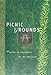 Picnic Grounds: A Novel in Fragments by