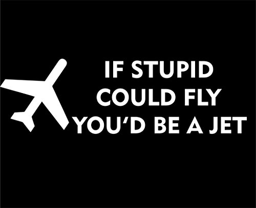 If Stupid Could Fly You'd Be A Jet - 7 3/4"x 2 1/4" - Vinyl Die Cut Decal / Bumper Sticker For Windows, Trucks, Cars, Laptops, Macbooks, Etc.