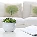 MyGift® Decorative Fake Plants Artificial Succulent Plant in Glazed White Ceramic Pot