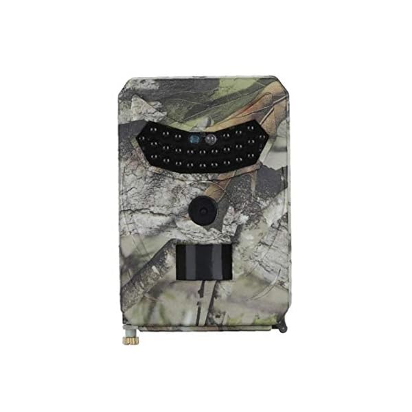MICHAELA BLAKE Jagd-Hinterkamera, HD 1080P Deer Feeder-Nachtsicht-Aufnahme LEDs Jagd Foto Fallen Wildwasserdichtes… – Bild 5