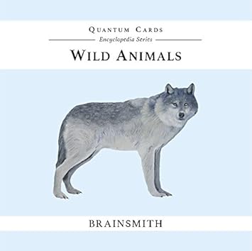 Brainsmith Quantum Flashcards, Wild Animals - Learning Flash Card Set for Toddlers and Kids (8 months to 8 years) for Memory and Brain Development