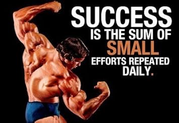 Get Schwarzenegger zitate For iPhone Schwarzenegger Zitate