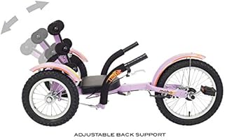 developmental youth trike