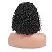 Sunstarr 13x4 150% Density Brazilian Short Curly Bob Wigs Lace Front Human Hair with Baby Hair Pre-Plucked Wig For Black Women(10, Lace front)
