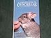 Chinchillas: A Complete Introduction by Jack C Harris Ph.D.