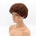 ALICE Afro Wig 4