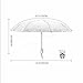 Ecourban 10 Ribs 60 MPH Windproof Automatic Compact Umbrella