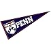 Pennsylvania Pennant Full Size Felt