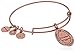Alex and Ani Because I love you, Daughter II Expandable Rafaelian Rose Gold Finish Bangle Bracelet