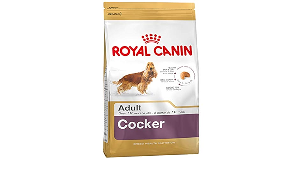 royal canin cocker
