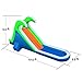 Blast Zone Tropical Splash - Inflatable Water Slide with Blower - Compact - Sets up in Seconds - Spray - Splash Area