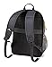 High Sierra Ultimate Access 2.0 Carry-On Wheeled Backpack, Mercury/Charcoal/Yell-O, One Size