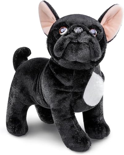 French Bulldog/White