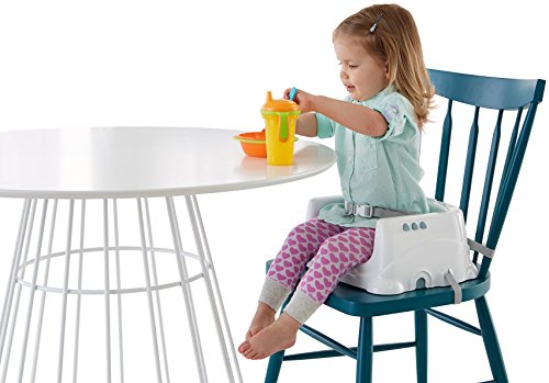 6 Fisher+Price+Healthy+Care+Deluxe+Booster