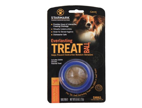 Everlasting Treat Ball Small