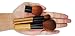 Makeup Brush | Basic Essential Bamboo Makeup Brush No Shed No Animal Hair Super Soft Low Price Great Quality For Quick Makeup Touch Up To Carry In Your Purse On The GO …