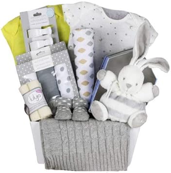amazon new baby gift basket