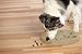 Outward Hound by Nina Ottosson Dog Worker Treat Puzzle Enrichment Toy, Level 3 Advanced, Tan