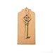 Bingcute Mixed Set of 30 Vintage Bronze Skeleton Key Charm with 30PCS Kraft Paper Gift Tags & 30 Feet Natural Jute Twine