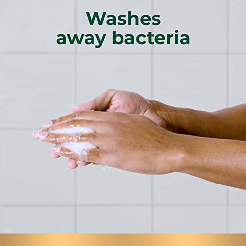 Irish Spring Original Clean Body Wash, 20 Oz, 2 Pack Pricepulse