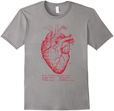 Men's Anatomical Heart T-Shirt - Anatomy Illustration XL Slate